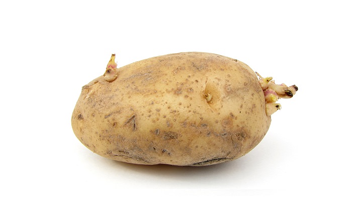 alimentos
